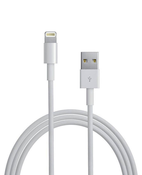 Apple Lightning to USB 1 Metre Cable